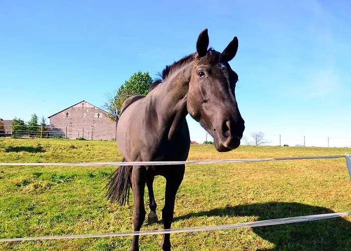 公寓 Nad Zatoka Pucka 斯瓦热沃