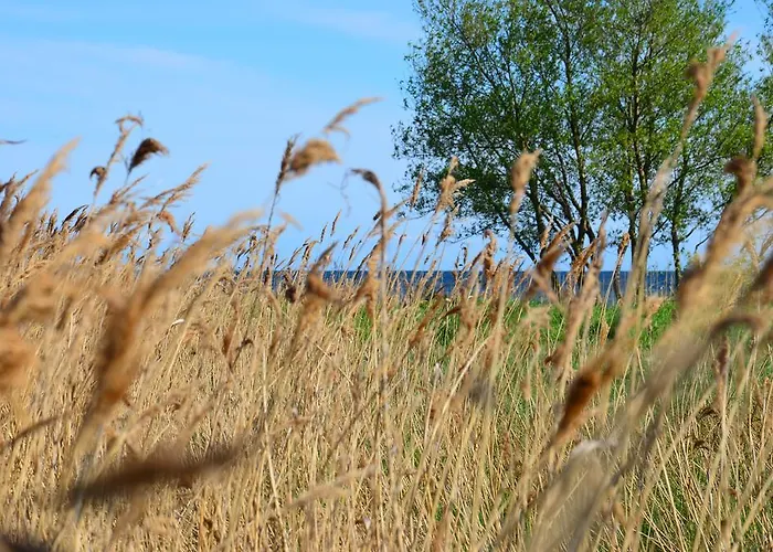 Nad Zatoka Pucka * Сважево