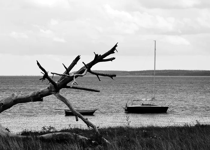 公寓 Nad Zatoka Pucka