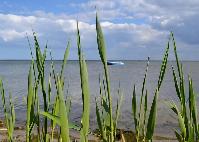 Апартаменты Nad Zatoka Pucka *